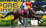 Iluminado and A'Isisuhairi Kasim score a comfortable victory on Sunday.<br>Photo by Singapore Turf Club